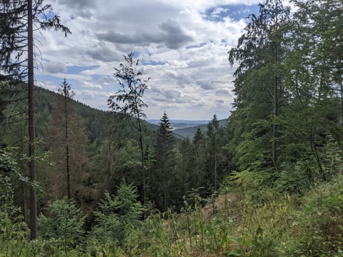 Sophienthal Rundwanderweg Nr. 2