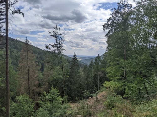 Sophienthal Rundwanderweg Nr. 2