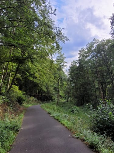 Vogelsberger Südbahnradweg