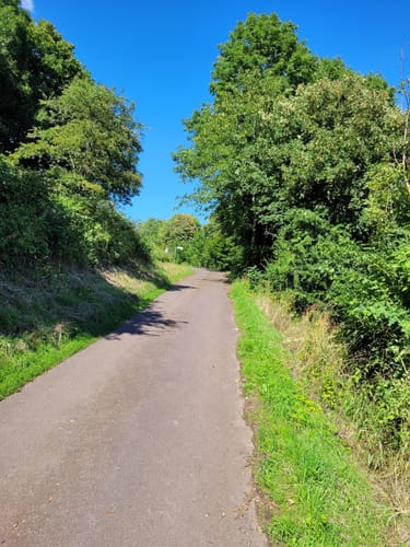 Vogelsberger Südbahnradweg