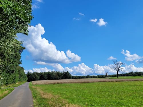 Vogelsberger Südbahnradweg