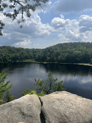 Ell pond hotsell preserve trailhead