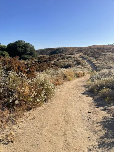 Best Hikes and Trails in Western Riverside County Regional Conservation ...