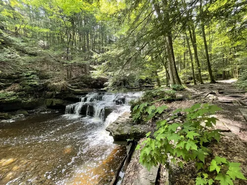 Best Hikes and Trails in Christman Sanctuary | AllTrails