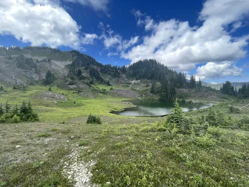 Olympic national park outlet alltrails