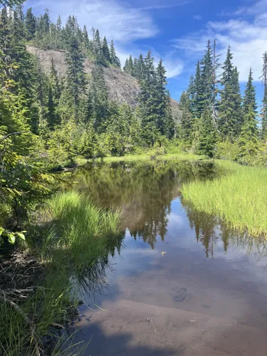 10 Best Hikes And Trails In Strathcona Provincial Park | AllTrails