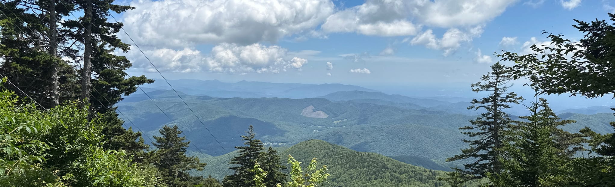 AllTrails Mount Mitchell Trail to South Toe River Road Loop 46