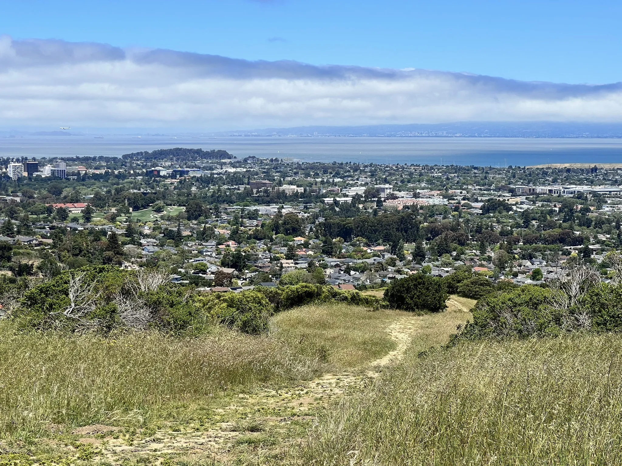 Photo of a trail from Dmitry Gomerman with title Poison Oak Valley to Saddle Trail 
