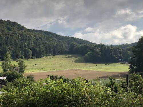 Höhenglück und Norissteig