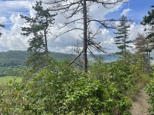 Von Wenigenjena zum Hausberg