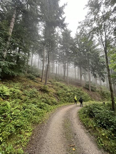 King of the Hill Race: Strahlenburgtrail (2022, 15,5 km)