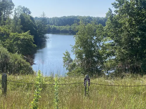 Seaside Walks: 5 Beautiful Hiking Trails in West Haven – Connecticut