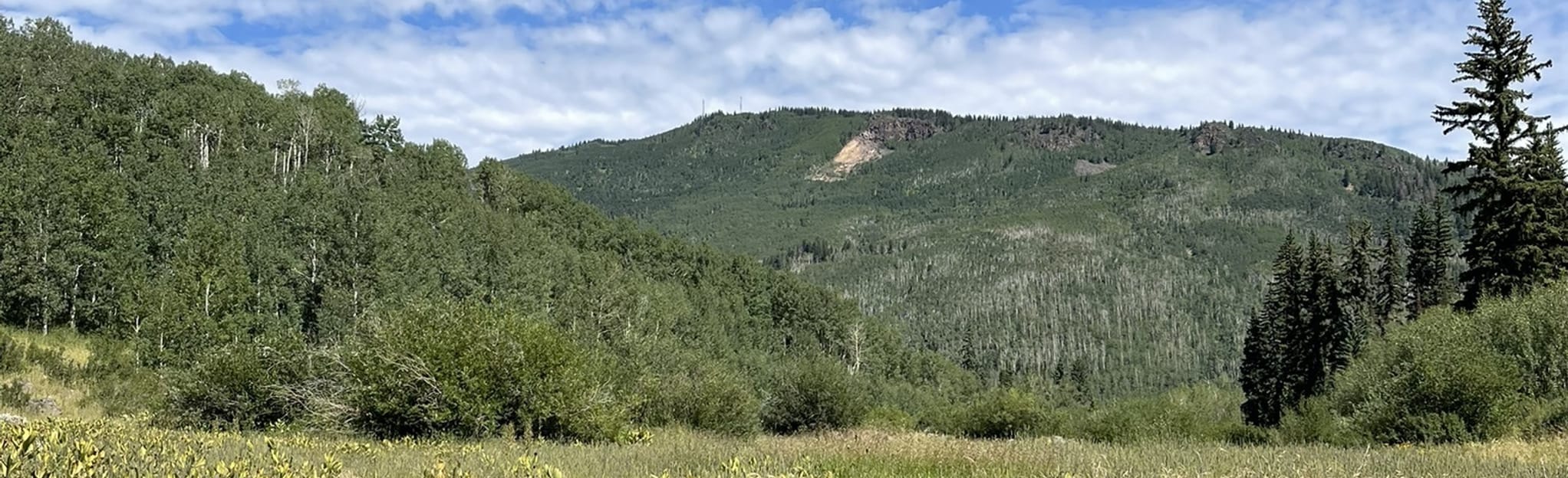 Sunshine Snowshoeing Trail 91 Reviews, Map Colorado AllTrails