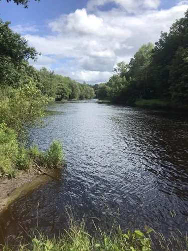 10 Best Wild Flowers Trails in Clwydian Range and Dee Valley National ...