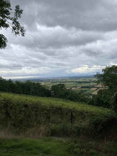 Hemsbach - Das Wanderdreieck an der Badischen Bergstraße