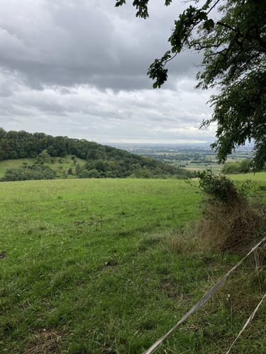 Hemsbach - Das Wanderdreieck an der Badischen Bergstraße