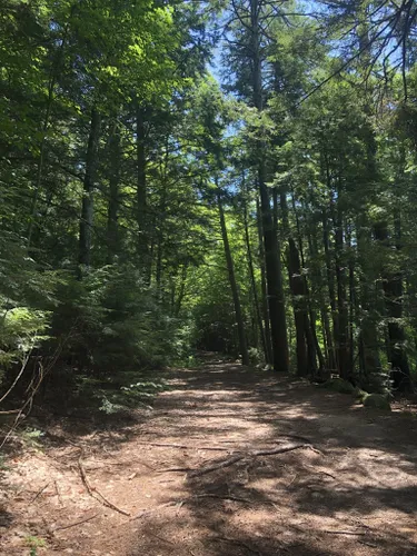 Best Hikes and Trails in Laconia | AllTrails