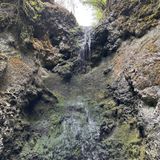 Trail 121: Waterfall Loop, Washington - 932 Reviews, Map | AllTrails