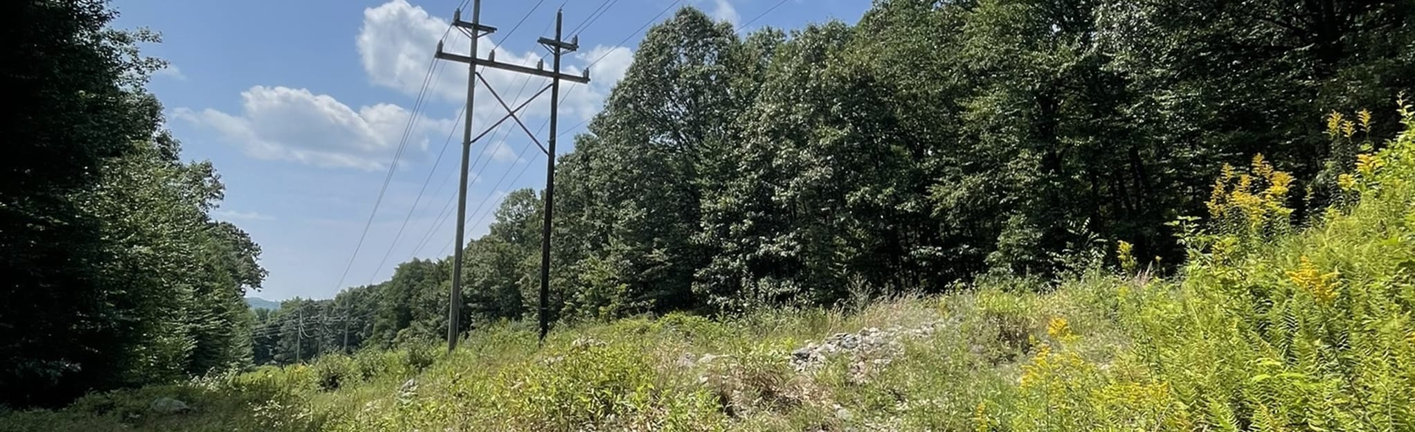 Mount Hope Historical Park Trails, New Jersey 238 Reviews, Map