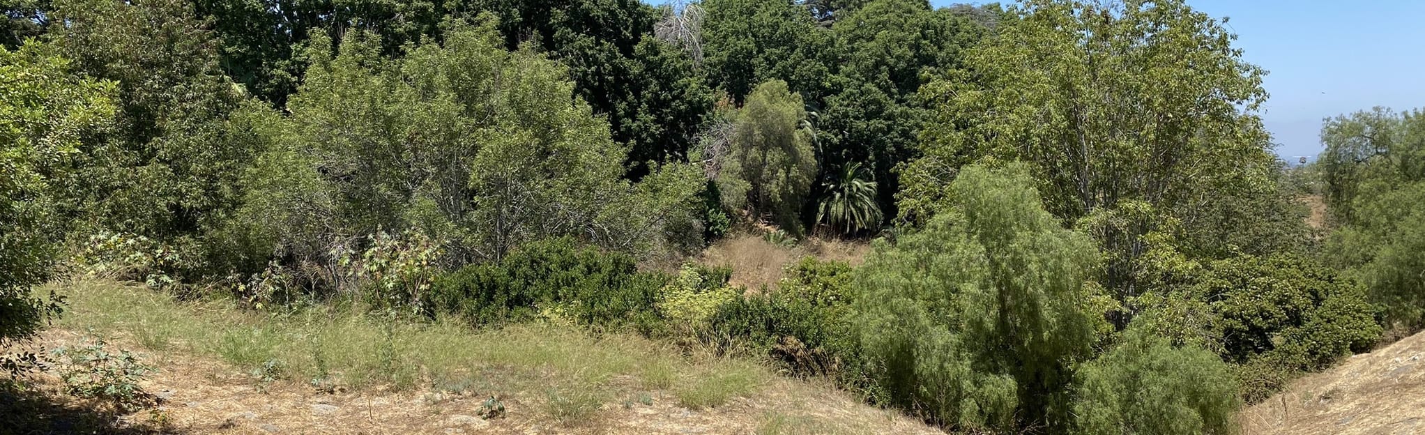 Peck Park Loop, California 202 Reviews, Map AllTrails