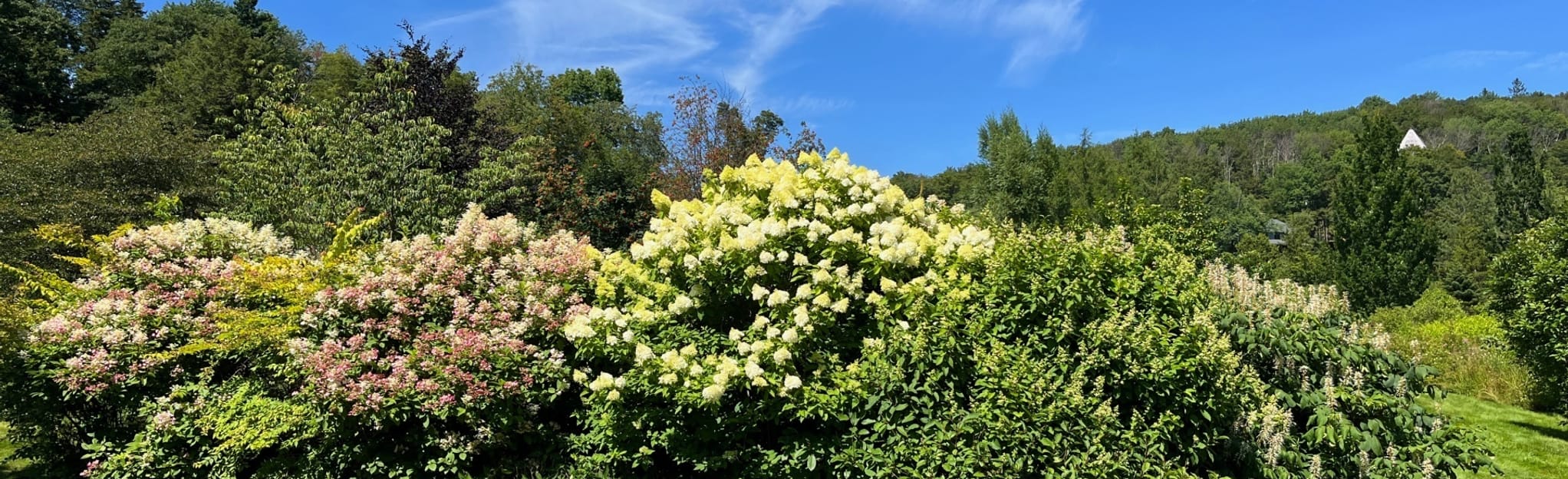 Mountain Top Arboretum Loop, New York 336 Reviews, Map AllTrails