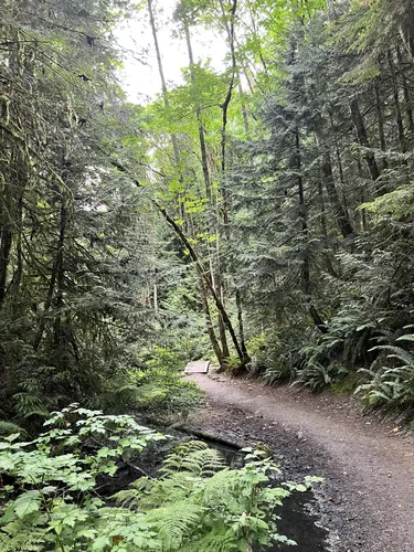 Larrabee state 2025 park hiking