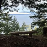 Chuckanut Ridge Trail, Washington - 403 Reviews, Map | AllTrails