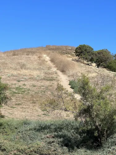 2023 Best Partially Paved Trails In Irvine | AllTrails