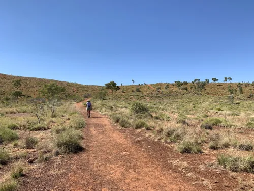 Best Hikes and Trails in Wolfe Creek Meteorite Crater National Park ...