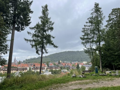 Waldsee zum Wasserschlössle (Wanderweg 4)