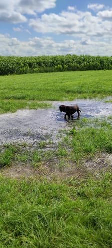 Wümme und Klosterwahrlaake ab Ottersberg