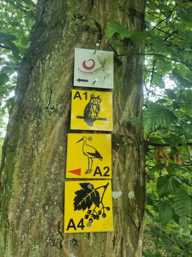 TraumRunde Abtswind