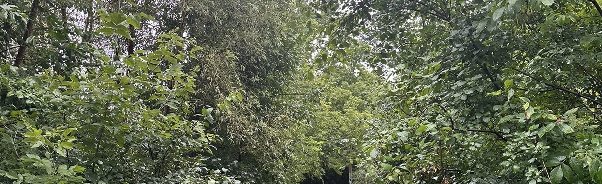 Glen Abbey Trail, Ontario, Canada 43 Reviews, Map AllTrails