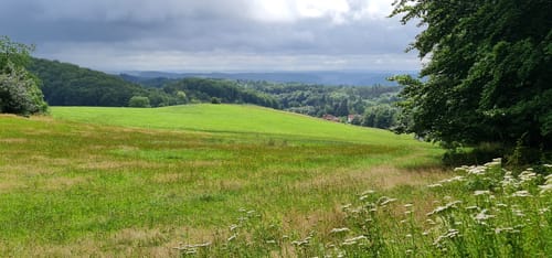 Rund um Sülzhayn
