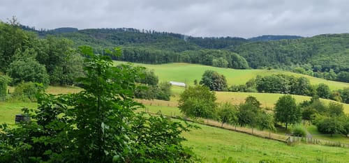 Rund um Sülzhayn