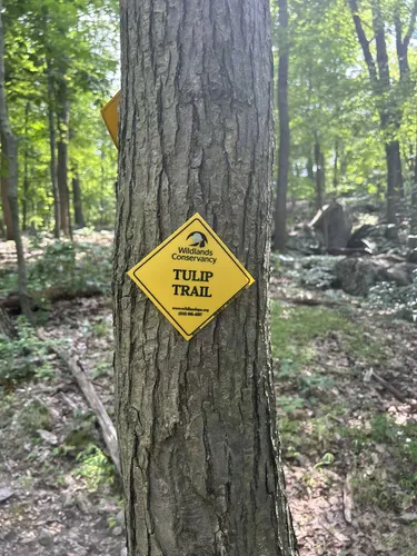 2023 Best Wild Flowers Trails in Macungie | AllTrails