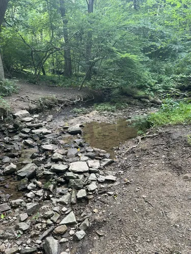 2023 Best Wild Flowers Trails in Macungie | AllTrails
