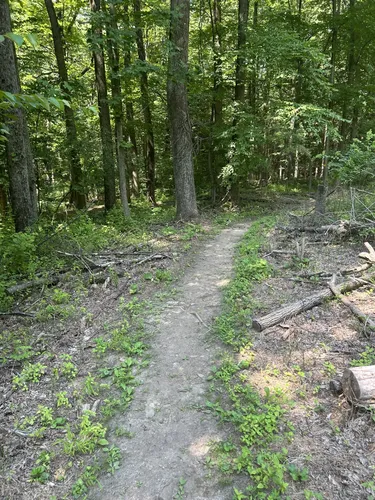 2023 Best Wild Flowers Trails in Macungie | AllTrails