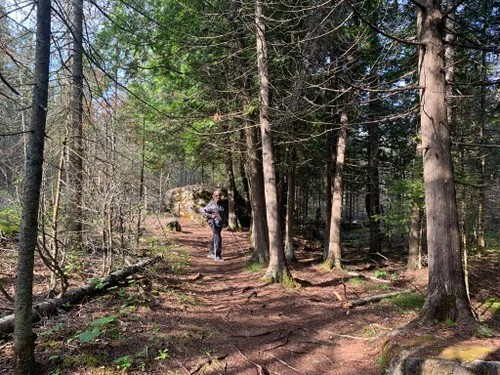 Great Lakes Bay, Michigan: diversión y aventura al aire libre