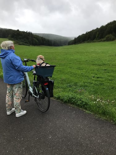 Vom Schlosspark über Sülzfeld und Gleimarshausen