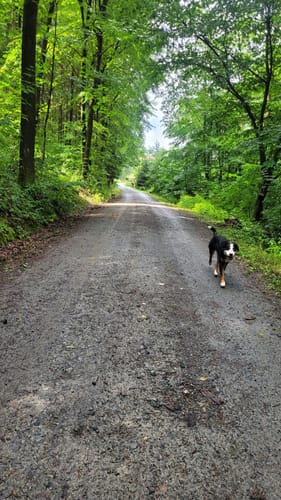 Neustadt Anbau Rundweg