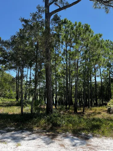 2023 Best Partially Paved Trails in Santa Rosa Beach AllTrails
