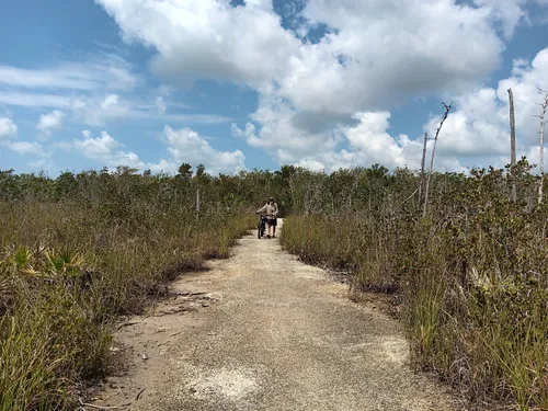 2023 Best Wild Flowers Trails in - EyJidWNrZXQiOiJhc3NldHMuYWxsdHJhaWxzLmNvbSIsImtleSI6InVwbG9hZHMvcGhvdG8vaW1hZ2UvNjM3MDA0OTEvNDk0ZjQ3Mzg0NDgxNTgwMjUxMzEzMmQxMWZjOGM2NjAuanBnIiwiZWRpdHMiOnsidG9Gb3JtYXQiOiJ3ZWJwIiwicmVzaXplIjp7IndpZHRoIjo1MDAsImhlaWdodCI6NTAwLCJmaXQiOiJpbnNpZGUifSwicm90YXRlIjpudWxsLCJqcGVnIjp7InRyZWxsaXNRdWFudGlzYXRpb24iOnRydWUsIm92ZXJzaG9vdERlcmluZ2luZyI6dHJ1ZSwib3B0aW1pc2VTY2FucyI6dHJ1ZSwicXVhbnRpc2F0aW9uVGFibGUiOjN9fX0=