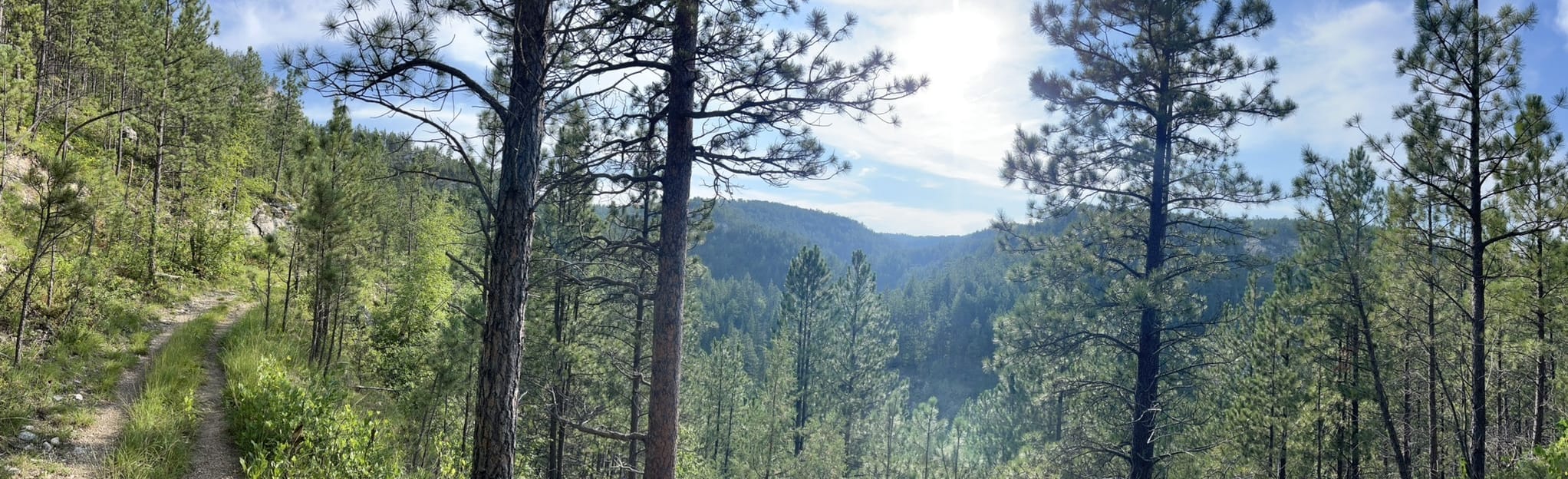 Botany Canyon 650 Fotos South Dakota AllTrails