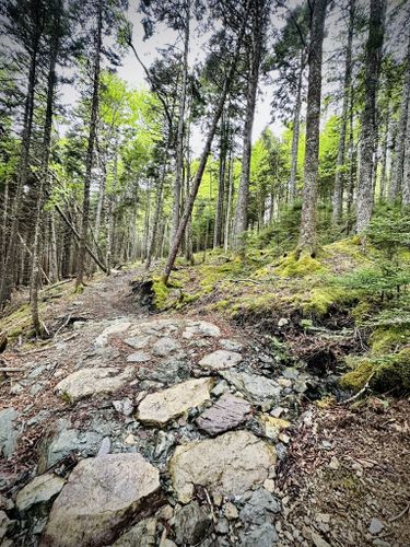 Goose River Trail: 296 fotos - Nuevo Brunswick, Canadá