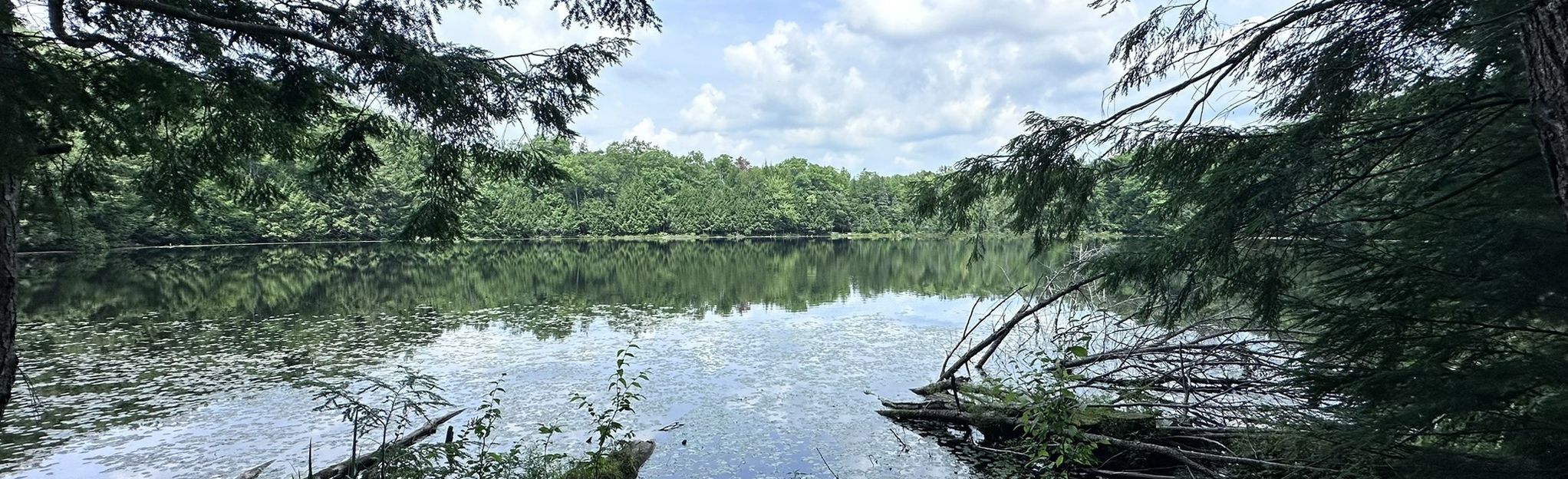 Ice Age Trail: East Lake Segment: 52 foto's - Wisconsin | AllTrails