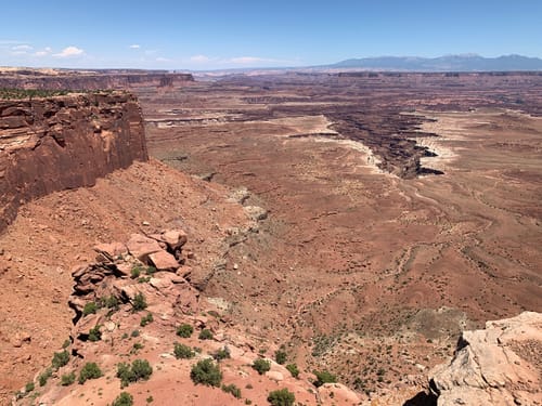 Buck 2024 canyon overlook