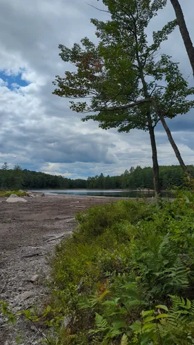 2023 Best Views Trails in Thendara AllTrails