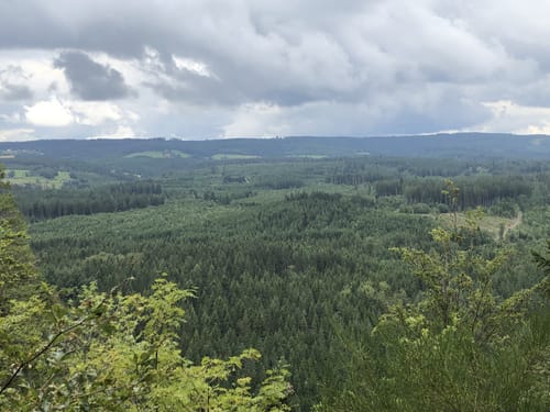 Rötenbachschlucht (Genießerpfad)