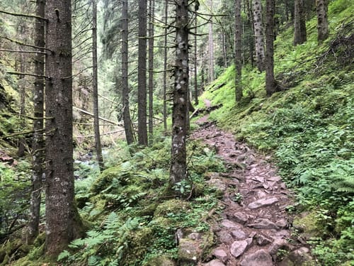 Rötenbachschlucht (Genießerpfad)
